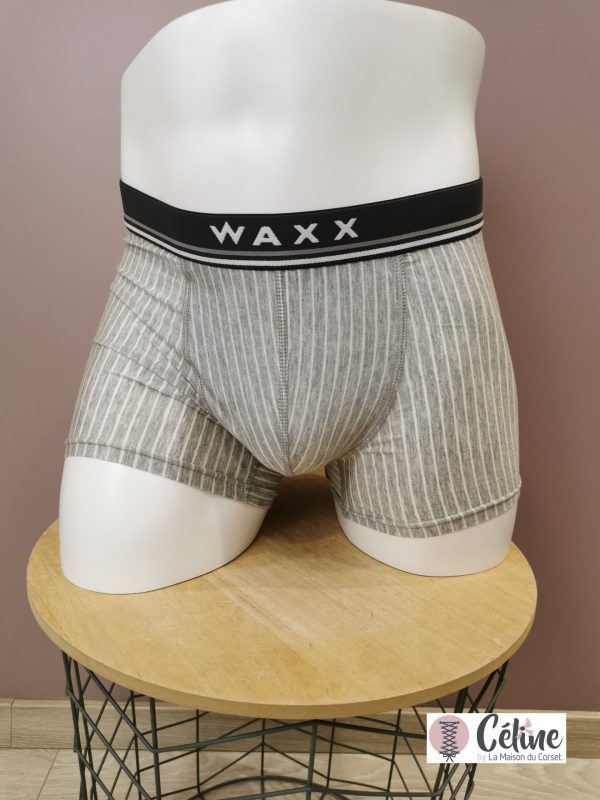 Boxer Waxx Modal rayé gris
